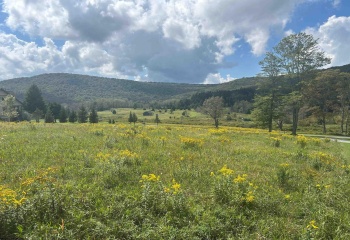 38 Waterfront Drive, Davis, West Virginia 26260, 0 , 0 ,0,Lots/land,For Sale,Waterfront,0,10166879