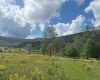 38 Waterfront Drive, Davis, West Virginia 26260, 0 , 0 ,0,Lots/land,For Sale,Waterfront,0,10166879