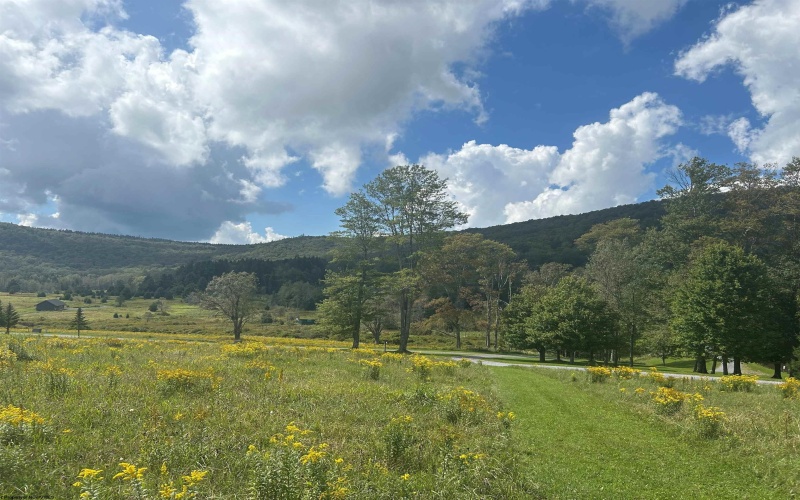 38 Waterfront Drive, Davis, West Virginia 26260, 0 , 0 ,0,Lots/land,For Sale,Waterfront,0,10166879