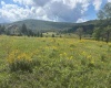 38 Waterfront Drive, Davis, West Virginia 26260, 0 , 0 ,0,Lots/land,For Sale,Waterfront,0,10166879