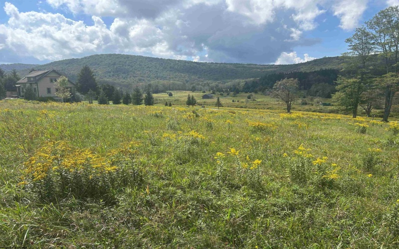 38 Waterfront Drive, Davis, West Virginia 26260, 0 , 0 ,0,Lots/land,For Sale,Waterfront,0,10166879