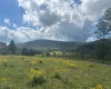38 Waterfront Drive, Davis, West Virginia 26260, 0 , 0 ,0,Lots/land,For Sale,Waterfront,0,10166879