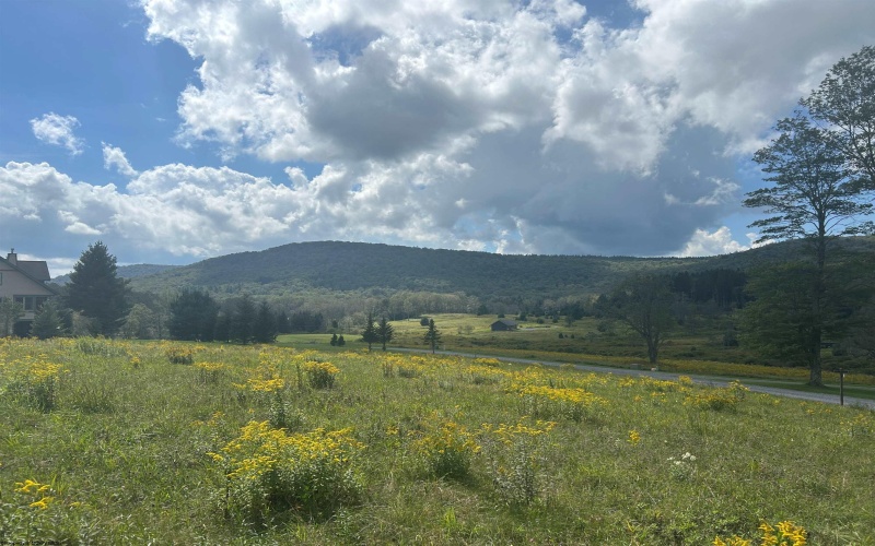 38 Waterfront Drive, Davis, West Virginia 26260, 0 , 0 ,0,Lots/land,For Sale,Waterfront,0,10166879