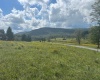 38 Waterfront Drive, Davis, West Virginia 26260, 0 , 0 ,0,Lots/land,For Sale,Waterfront,0,10166879