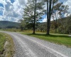 38 Waterfront Drive, Davis, West Virginia 26260, 0 , 0 ,0,Lots/land,For Sale,Waterfront,0,10166879