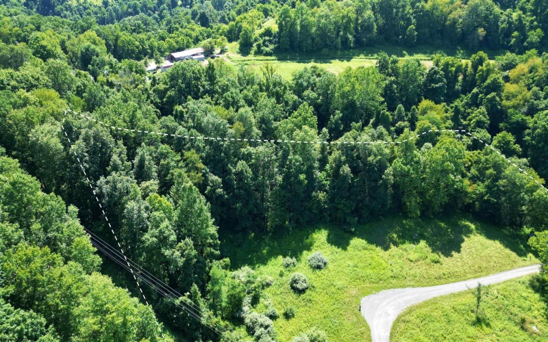 1334 Becky Town Road, Clarksburg, West Virginia 26301, 0 , 0 ,0,Lots/land,For Sale,Becky Town,0,10166880