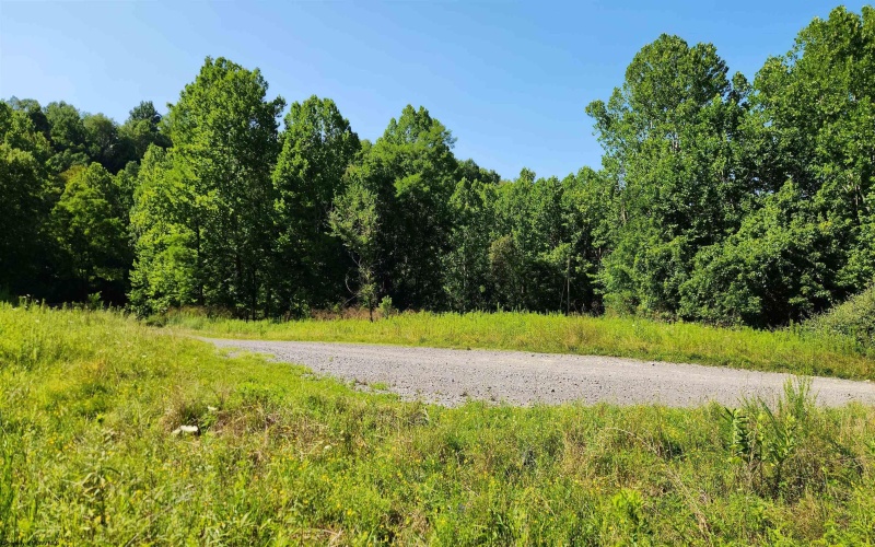 1334 Becky Town Road, Clarksburg, West Virginia 26301, 0 , 0 ,0,Lots/land,For Sale,Becky Town,0,10166880