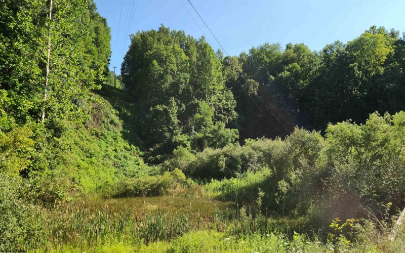 1334 Becky Town Road, Clarksburg, West Virginia 26301, 0 , 0 ,0,Lots/land,For Sale,Becky Town,0,10166880