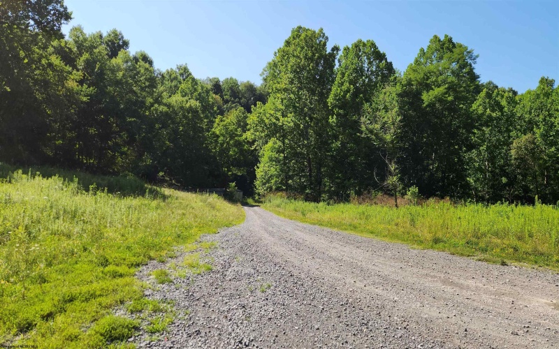 1334 Becky Town Road, Clarksburg, West Virginia 26301, 0 , 0 ,0,Lots/land,For Sale,Becky Town,0,10166880