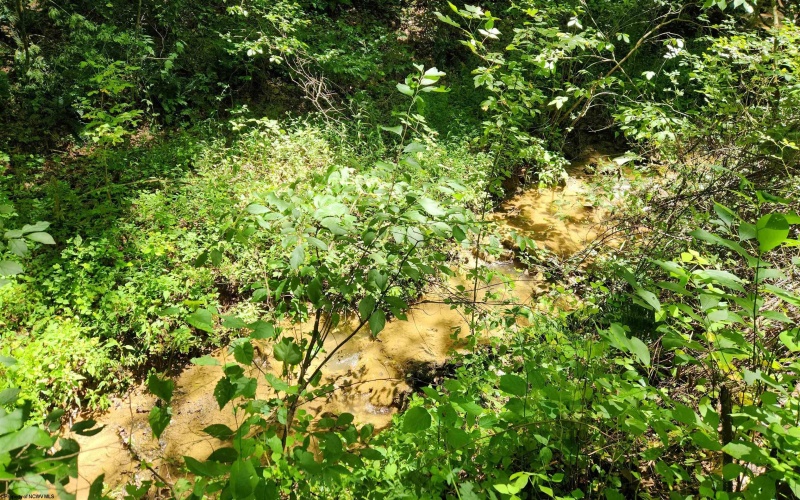 1334 Becky Town Road, Clarksburg, West Virginia 26301, 0 , 0 ,0,Lots/land,For Sale,Becky Town,0,10166880
