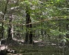 16 Black Bear Trail, Davis, West Virginia 26260, 0 , 0 ,0,Lots/land,For Sale,Black Bear,0,10166883 16 Black Bear Trail, Davis, West Virginia 26260, 0 , 0 ,0,Lots/land,For Sale,Black Bear,0,10166883