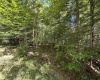 16 Black Bear Trail, Davis, West Virginia 26260, 0 , 0 ,0,Lots/land,For Sale,Black Bear,0,10166883 16 Black Bear Trail, Davis, West Virginia 26260, 0 , 0 ,0,Lots/land,For Sale,Black Bear,0,10166883