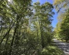 16 Black Bear Trail, Davis, West Virginia 26260, 0 , 0 ,0,Lots/land,For Sale,Black Bear,0,10166883 16 Black Bear Trail, Davis, West Virginia 26260, 0 , 0 ,0,Lots/land,For Sale,Black Bear,0,10166883