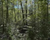16 Black Bear Trail, Davis, West Virginia 26260, 0 , 0 ,0,Lots/land,For Sale,Black Bear,0,10166883 16 Black Bear Trail, Davis, West Virginia 26260, 0 , 0 ,0,Lots/land,For Sale,Black Bear,0,10166883