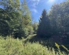 16 Black Bear Trail, Davis, West Virginia 26260, 0 , 0 ,0,Lots/land,For Sale,Black Bear,0,10166883 16 Black Bear Trail, Davis, West Virginia 26260, 0 , 0 ,0,Lots/land,For Sale,Black Bear,0,10166883