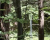 16 Black Bear Trail, Davis, West Virginia 26260, 0 , 0 ,0,Lots/land,For Sale,Black Bear,0,10166883 16 Black Bear Trail, Davis, West Virginia 26260, 0 , 0 ,0,Lots/land,For Sale,Black Bear,0,10166883