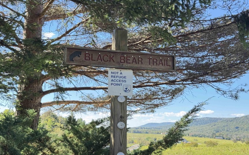 16 Black Bear Trail, Davis, West Virginia 26260, 0 , 0 ,0,Lots/land,For Sale,Black Bear,0,10166883 16 Black Bear Trail, Davis, West Virginia 26260, 0 , 0 ,0,Lots/land,For Sale,Black Bear,0,10166883