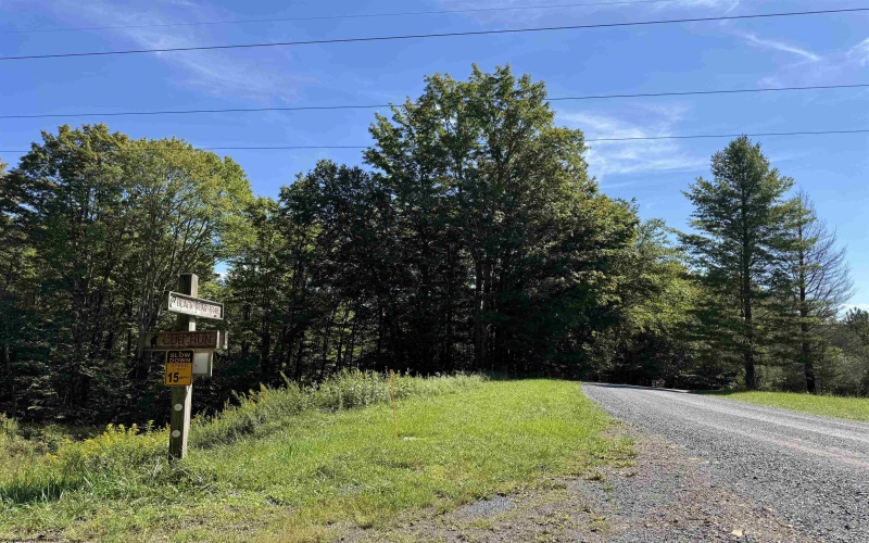 16 Black Bear Trail, Davis, West Virginia 26260, 0 , 0 ,0,Lots/land,For Sale,Black Bear,0,10166883 16 Black Bear Trail, Davis, West Virginia 26260, 0 , 0 ,0,Lots/land,For Sale,Black Bear,0,10166883