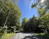 16 Black Bear Trail, Davis, West Virginia 26260, 0 , 0 ,0,Lots/land,For Sale,Black Bear,0,10166883 16 Black Bear Trail, Davis, West Virginia 26260, 0 , 0 ,0,Lots/land,For Sale,Black Bear,0,10166883