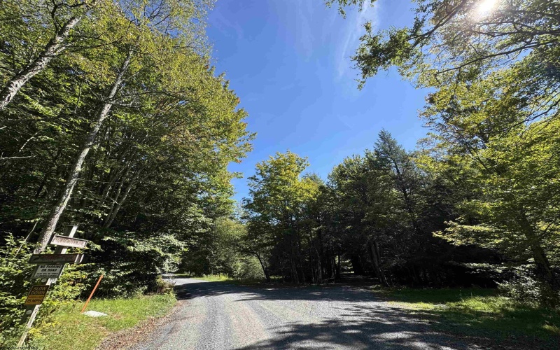 16 Black Bear Trail, Davis, West Virginia 26260, 0 , 0 ,0,Lots/land,For Sale,Black Bear,0,10166883 16 Black Bear Trail, Davis, West Virginia 26260, 0 , 0 ,0,Lots/land,For Sale,Black Bear,0,10166883