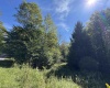 16 Black Bear Trail, Davis, West Virginia 26260, 0 , 0 ,0,Lots/land,For Sale,Black Bear,0,10166883 16 Black Bear Trail, Davis, West Virginia 26260, 0 , 0 ,0,Lots/land,For Sale,Black Bear,0,10166883