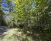 16 Black Bear Trail, Davis, West Virginia 26260, 0 , 0 ,0,Lots/land,For Sale,Black Bear,0,10166883 16 Black Bear Trail, Davis, West Virginia 26260, 0 , 0 ,0,Lots/land,For Sale,Black Bear,0,10166883