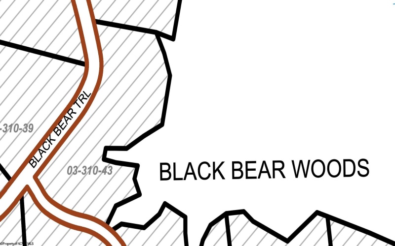 16 Black Bear Trail, Davis, West Virginia 26260, 0 , 0 ,0,Lots/land,For Sale,Black Bear,0,10166883 16 Black Bear Trail, Davis, West Virginia 26260, 0 , 0 ,0,Lots/land,For Sale,Black Bear,0,10166883