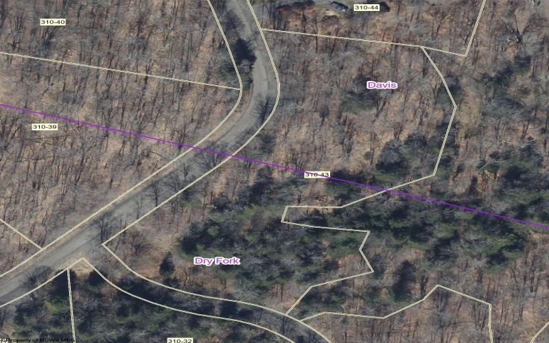 16 Black Bear Trail, Davis, West Virginia 26260, 0 , 0 ,0,Lots/land,For Sale,Black Bear,0,10166883 16 Black Bear Trail, Davis, West Virginia 26260, 0 , 0 ,0,Lots/land,For Sale,Black Bear,0,10166883