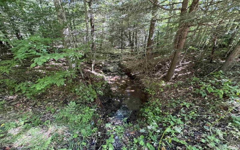 16 Black Bear Trail, Davis, West Virginia 26260, 0 , 0 ,0,Lots/land,For Sale,Black Bear,0,10166883 16 Black Bear Trail, Davis, West Virginia 26260, 0 , 0 ,0,Lots/land,For Sale,Black Bear,0,10166883