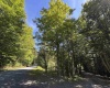 16 Black Bear Trail, Davis, West Virginia 26260, 0 , 0 ,0,Lots/land,For Sale,Black Bear,0,10166883 16 Black Bear Trail, Davis, West Virginia 26260, 0 , 0 ,0,Lots/land,For Sale,Black Bear,0,10166883