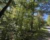 16 Black Bear Trail, Davis, West Virginia 26260, 0 , 0 ,0,Lots/land,For Sale,Black Bear,0,10166883 16 Black Bear Trail, Davis, West Virginia 26260, 0 , 0 ,0,Lots/land,For Sale,Black Bear,0,10166883