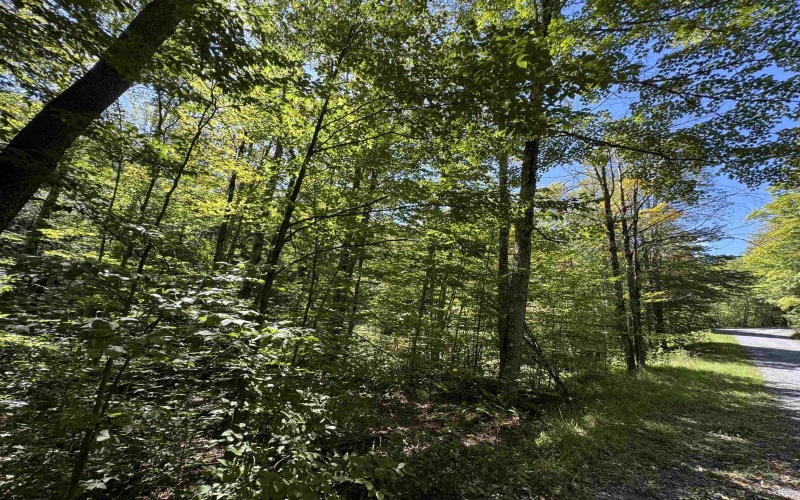 16 Black Bear Trail, Davis, West Virginia 26260, 0 , 0 ,0,Lots/land,For Sale,Black Bear,0,10166883 16 Black Bear Trail, Davis, West Virginia 26260, 0 , 0 ,0,Lots/land,For Sale,Black Bear,0,10166883