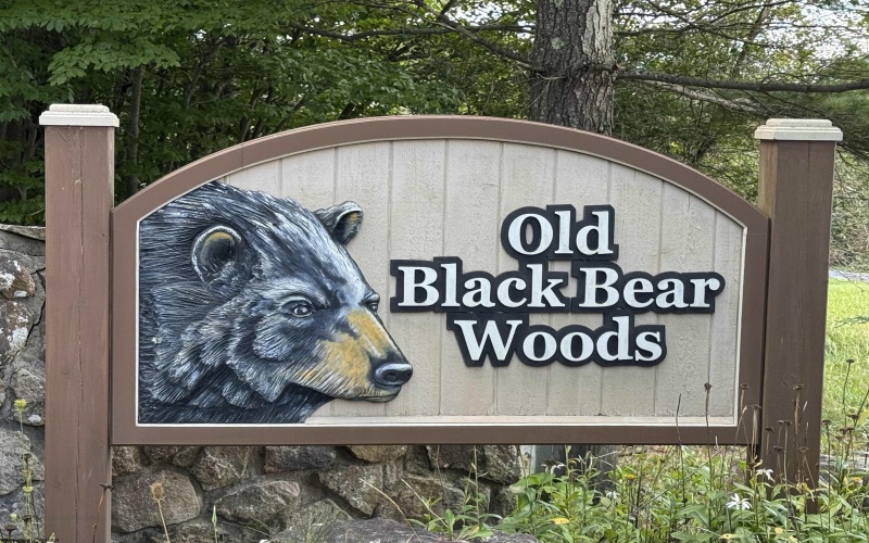 16 Black Bear Trail, Davis, West Virginia 26260, 0 , 0 ,0,Lots/land,For Sale,Black Bear,0,10166883 16 Black Bear Trail, Davis, West Virginia 26260, 0 , 0 ,0,Lots/land,For Sale,Black Bear,0,10166883