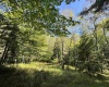 16 Black Bear Trail, Davis, West Virginia 26260, 0 , 0 ,0,Lots/land,For Sale,Black Bear,0,10166883 16 Black Bear Trail, Davis, West Virginia 26260, 0 , 0 ,0,Lots/land,For Sale,Black Bear,0,10166883