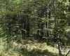 16 Black Bear Trail, Davis, West Virginia 26260, 0 , 0 ,0,Lots/land,For Sale,Black Bear,0,10166883 16 Black Bear Trail, Davis, West Virginia 26260, 0 , 0 ,0,Lots/land,For Sale,Black Bear,0,10166883