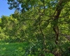 681 KNOTTSVILLE Road, Grafton, West Virginia 26354, 0 , 0 ,0,Lots/land,For Sale,KNOTTSVILLE,0,10166888