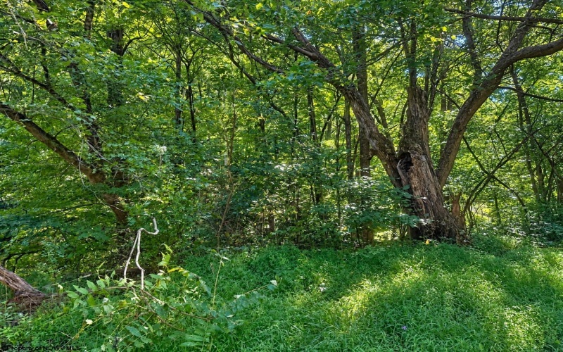 681 KNOTTSVILLE Road, Grafton, West Virginia 26354, 0 , 0 ,0,Lots/land,For Sale,KNOTTSVILLE,0,10166888