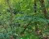 681 KNOTTSVILLE Road, Grafton, West Virginia 26354, 0 , 0 ,0,Lots/land,For Sale,KNOTTSVILLE,0,10166888