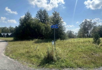 Lot 45 Venice Place, Davis, West Virginia 26260, 0 , 0 ,0,Lots/land,For Sale,Venice,0,10166889