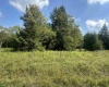 Lot 45 Venice Place, Davis, West Virginia 26260, 0 , 0 ,0,Lots/land,For Sale,Venice,0,10166889
