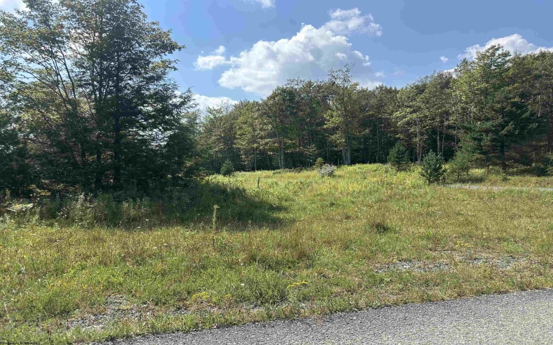 Lot 45 Venice Place, Davis, West Virginia 26260, 0 , 0 ,0,Lots/land,For Sale,Venice,0,10166889