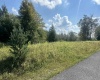 Lot 45 Venice Place, Davis, West Virginia 26260, 0 , 0 ,0,Lots/land,For Sale,Venice,0,10166889