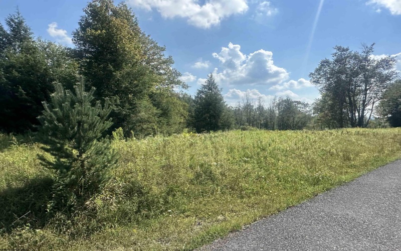 Lot 45 Venice Place, Davis, West Virginia 26260, 0 , 0 ,0,Lots/land,For Sale,Venice,0,10166889