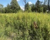 Lot 45 Venice Place, Davis, West Virginia 26260, 0 , 0 ,0,Lots/land,For Sale,Venice,0,10166889