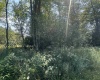 Lot 47 Lira Lane, Davis, West Virginia 26260, 0 , 0 ,0,Lots/land,For Sale,Lira,0,10166891