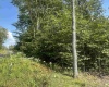 Lot 47 Lira Lane, Davis, West Virginia 26260, 0 , 0 ,0,Lots/land,For Sale,Lira,0,10166891