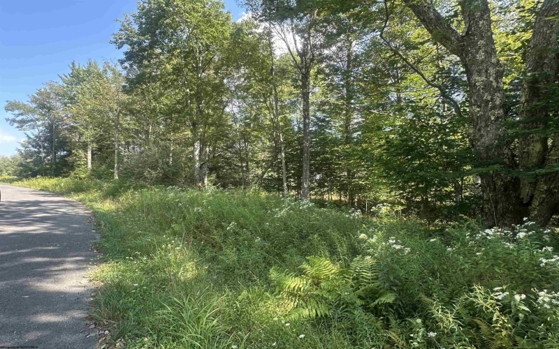 Lot 47 Lira Lane, Davis, West Virginia 26260, 0 , 0 ,0,Lots/land,For Sale,Lira,0,10166891