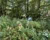 Lot 47 Lira Lane, Davis, West Virginia 26260, 0 , 0 ,0,Lots/land,For Sale,Lira,0,10166891