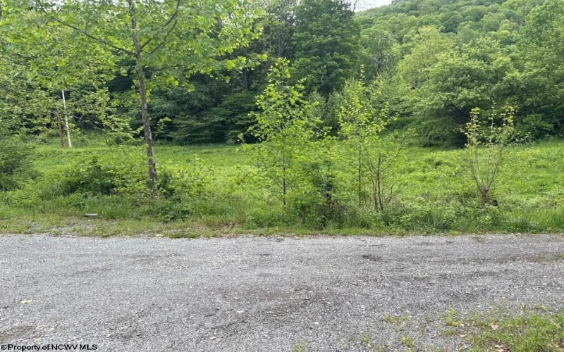 TBD Route 32 (RR), Dryfork, West Virginia 26263, 0 , 0 ,0,Lots/land,For Sale,Route 32,0,10166897