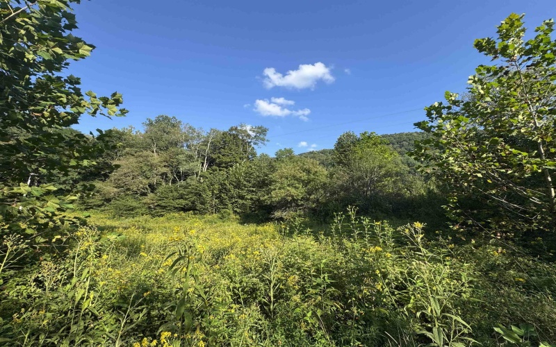 TBD Route 32 (RR), Dryfork, West Virginia 26263, 0 , 0 ,0,Lots/land,For Sale,Route 32,0,10166897